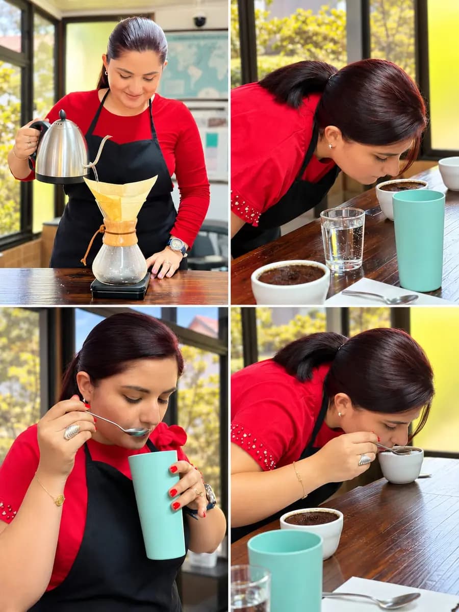 La cata de un lote: se prepara en Chemex, se huele la fragancia, se prueba con cuchara y se evalúa cada taza